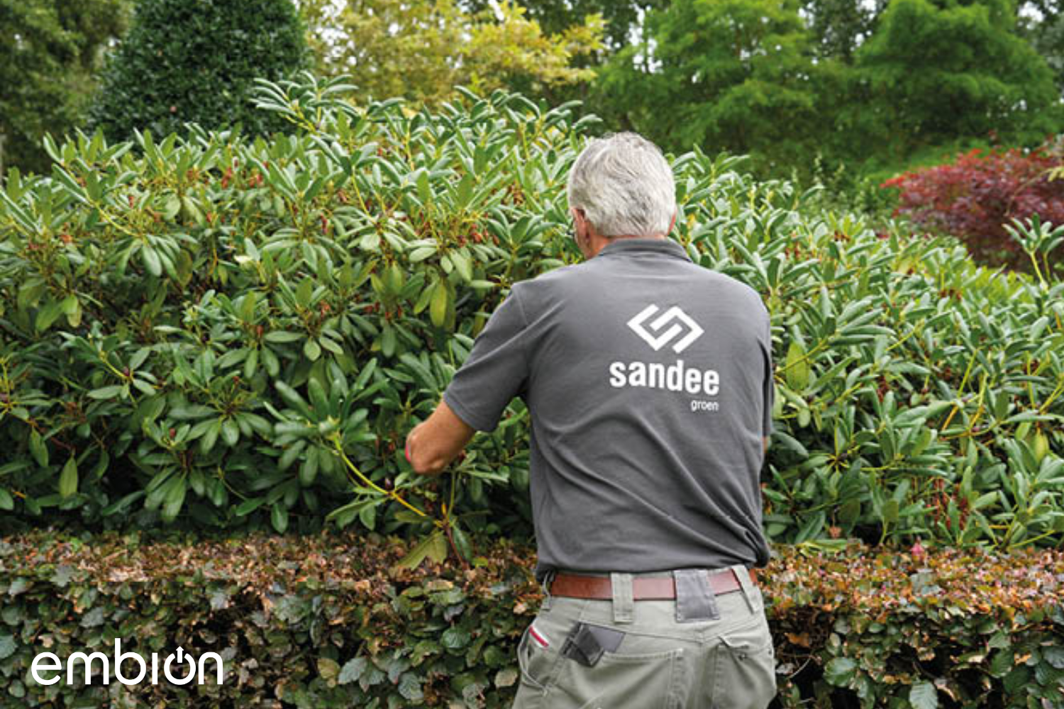 Sustainable energy generation and charging at Sandee Groen